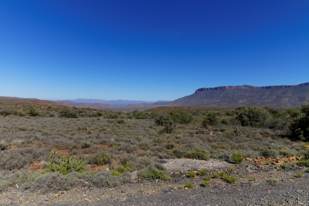 04 - Karoo NP (18).jpg